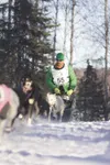 Big Lake musher and Iditarod Trail Sled Dog Race rookie Kelly
Maixner crests a hill as he moves off of Long Lake in Willow during
the restart of the 1,149-mile race to Nome. ROBERT
DeBERRY/Fr