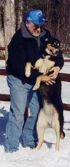Mike Dillingham shares a fun moment with Ice before last year's
Iditarod. Ice survived a car accident last weekend but hasn't been
found since that day. Submitted photo.