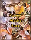 Palmer Noted as One of Safest Places in Alaska