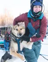 Sydnie Bahl taking one of her team dogs to hook up to her sled dog tow line Saturday at the start of the 2026 Knik 200 Race. J. David McChesney/Frontiersman