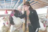 ROBERT DeBERRY/Frontiersman Triple D Farm and Hatchery owner
Anthony Schmidt holds “Thanksgiving” the turkey that Gov. Sarah
Palin, right, pardoned Thursday afternoon in Wasilla.