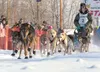 Wasilla’s Ben Harper leaves the starting chute during the 2012 Junior Iditarod Sled Dog Race in Knik. Harper is running this year’s race, which starts Saturday at 10 a.m. on Knik Lake. In 201