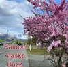 Palmer Buzz
