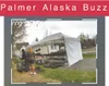 Palmer Buzz