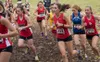 Houston's Allison VanPelt, left, and Palmer's Ruby Woodings, 1735 at right, battle for position during the first lap of the girls varsity gold race at the George Fox Cross Country Meet in Ore