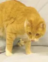Orange you glad I'm available?