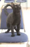 Here I am!