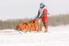 Bethel's Jessica Klejka heads across Willow Lake during the 2008
Jr. Iditarod Trail Sled Dog Race. ROBERT DeBERRY/Frontiersman