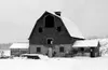 The Jensen barn was originally built as part of the 1935
Matanuska Colony project. Photo by SCOTT
CHRISTIANSEN/Frontiersman.