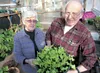 Curt and Marge Mueller stand inside their home greenhouse with a small planter of lettuce. As warmer temperatures near and outdoor planting season gets closer the couple's greenhouse will beg