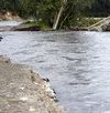 The Matanuska River continues to cut into bank near the Old Glenn Highway. JEREMIAH BARTZ/ Frontiersman