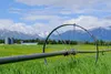 The Mat-Su landscape is dotted with some of the best farmland in the state. The Alaska Farmland Trust is helping to preserve that land for future generations, while also promoting increased f