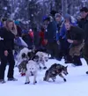 Iditarod Frontiersman file photo