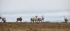 An Australia-based independent oil explorer, 88 Energy, reported additional encouraging results from an exploration well drilled last winter south of Prudhoe Bay Check Pantheon/Great Bear, 88