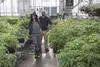 Megan Talley, left, and Joshua Faller pause for a photo in the greehouse at the University of Alaska Fairbanks Matanuska Experiment Farm on Friday, May 6. The pair founded Alaska Tilth in 201
