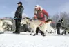 ROBERT DeBERRY/Frontiersman A pair of volunteer handlers help
control a musher’s team at the start of the 2010 Iditarod Trail
Sled Dog Race in Willow on Sunday.