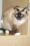 Needs a home