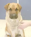 Just look at that face …