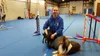 Bell Creek Agility and Obedience, LLC owner Patti Engleman. Jacob Mann/Frontiersman