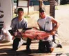 Valley fishing partners Kevin Harding, left, and Scott
Michaelson heft the 57-pound king that won Michaelson the grand
prize in this year's Mat-Su King Salmon Derby. Photo courtesy Scott
Mich