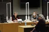 The Wasilla City Council heard a positive report from Catherine Cheadle of the Sustainable Design Group and Mat-Su Conservation Services on a stormwater drainage rehabilitation project of Cot