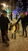 Reindeer Farm at Merry Merchant Munch Submitted photo