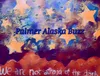 Palmer Buzz
