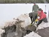 A moose is stuck in the mud on Grella Lake in the Hatcher Pass
area Wednesday. The moose was discovered by William Stephens.
Stephens, along with members of the Spain and Barber families,
att