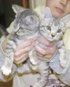 Two, too cute