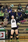Colony senior Mackenzie Everett sets the ball during a recent match against Palmer. Everett has received her letter of acceptance from the United States Coast Guard Academy and is expected to