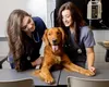 For those who held onto that passion into adulthood, the Veterinary Technology (Vet Tech) Program at Mat-Su College is hosting an application orientation and open forum for prospective studen