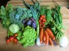 A wide variety of Mat-Su Vegetables are delivered each week by Arctic Harvest Deliveries, which gets its produce from a variety of farms in the area. The company was used by chef Rob Kineen t