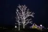 More than 40,000 bulbs were powered and lit up on Saturday night at Gage Tree Service. For the second year in a row, Gage lit up the massive cottonwood tree on their property with 40,000 warm