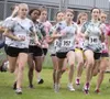 JEREMIAH BARTZ/Frontiersman Colony’s Audrey Michaelson, left,
Kendra McPhail, Makenzie Thompson and Tracie Haan, right, run in a
pack at the start of the Colony Twilight earlier this month. T