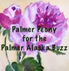 Palmer Buzz