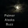 Palmer Buzz