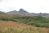 Photo by Audra Matolka Fall hues wash the slopes and fields
below 6,119-foot Matanuska Peak, in this photo taken Saturday from
a spot near the junction of McRoberts Creek and Matanuska Peak
t