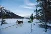Ryan Redington a couple miles from Rohn. David Poyzer/Iditarod