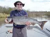 ANDY COUCH/For the Frontiersman Jonathan King flashes a huge
grin after catching a king salmon on the Little Susitna River on
May 27. Success rates should dramatically increase for the big
sa