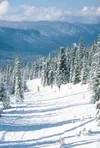 Cross-country skiing has been a scarce commodity in the Mat-Su
Valley this winter. Fronteirsman file photo.