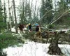 A group of IBEW employees work to clear the land that will soon
be the permanent site of Valley Community for Recycling Solutions.
The workers cleared approximately a half-acre of land last w