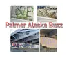 Palmer Buzz