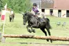ROBERT DeBERRY/Frontiersman Carolyn Haddad jumps her horse
Jestor over the first obstacle Saturday during the cross-country
portion of the Honour Bound Pony Club’s horse trials.