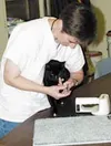 Mat-Su Borough veterinarian Lisa Espey gives a cat at the
shelter a nail trim. Espey provides full-time veterinarian care for
animals at the shelter. Photo by RINDI WHITE/Frontiersman.