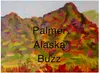Palmer Buzz