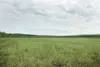 ROBERT DeBERRY/Frontiersman Mat-Su Gravel Products wants to
remove 1.5 million cubic yards of soil and aggregates over a period
of 10 to 12 years from this 50-acre tract of hills and ridges j