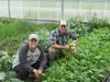 Matt and Ginny Hale’s greenhouses produce tomatoes, peppers, beets, carrots, celery, Swiss chard, kale, radishes, turnips, cabbage, cauliflower, onions, squash and the Hale’s cash crop—lettuc