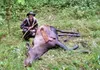 bow hunter