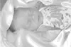 WILLOW LAVAR KOERBER