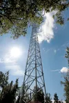A cellular phone tower rises above the trees near Mat-Su College in this August 2012 file photo. The Mat-Su Borough Assembly decided not to let the public vote on an advisory question about t